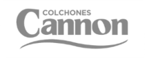 Cannon logo